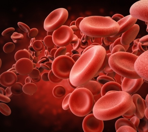 Animated blood platelets